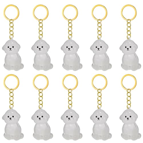 1. 2/3/4/5/10pcs Klarer Pet Memorial Schlüsselbund Mit Lagerfach Für Katzen Hunde Liebhaber Sympathie Anhänger Süßes Hundehaar Andenken Box 1. 2/3/4/5/10pcs Klarer Pet Memorial Schlüsselbund Mit Lagerfach Für Katzen Hunde Liebhaber Sympathie Anhänger Süßes Hundehaar Andenken Box von FIRSTXIU