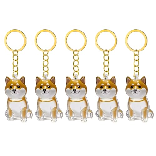 1. 2/3/4/5/10pcs Klarer Pet Memorial Schlüsselbund Mit Lagerfach Für Katzen Hunde Liebhaber Sympathie Anhänger Süßes Hundehaar Andenken Box 1. 2/3/4/5/10pcs Klarer Pet Memorial Schlüsselbund Mit Lagerfach Für Katzen Hunde Liebhaber Sympathie Anhänger Süßes Hundehaar Andenken Box von FIRSTXIU