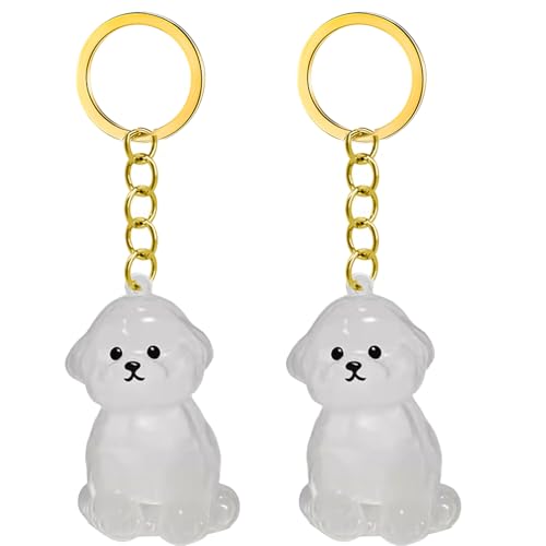 1. 2/3/4/5/10pcs Klarer Pet Memorial Schlüsselbund Mit Lagerfach Für Katzen Hunde Liebhaber Sympathie Anhänger Süßes Hundehaar Andenken Box 1. 2/3/4/5/10pcs Klarer Pet Memorial Schlüsselbund Mit Lagerfach Für Katzen Hunde Liebhaber Sympathie Anhänger Süßes Hundehaar Andenken Box von FIRSTXIU