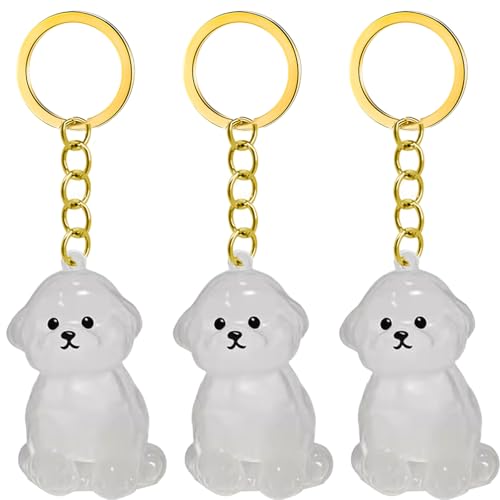 1. 2/3/4/5/10pcs Klarer Pet Memorial Schlüsselbund Mit Lagerfach Für Katzen Hunde Liebhaber Sympathie Anhänger Süßes Hundehaar Andenken Box 1. 2/3/4/5/10pcs Klarer Pet Memorial Schlüsselbund Mit Lagerfach Für Katzen Hunde Liebhaber Sympathie Anhänger Süßes Hundehaar Andenken Box von FIRSTXIU