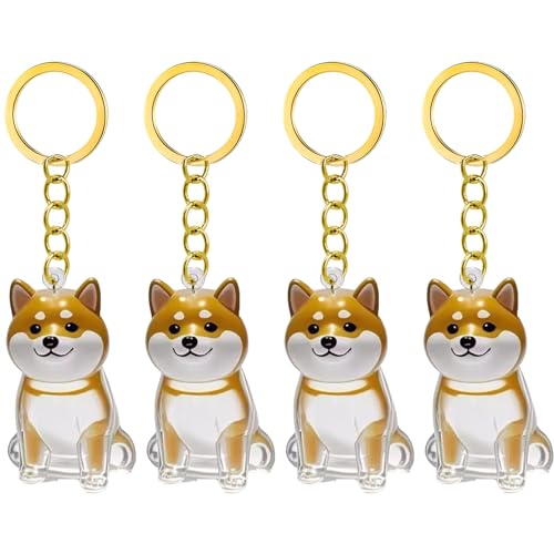 1. 2/3/4/5/10pcs Klarer Pet Memorial Schlüsselbund Mit Lagerfach Für Katzen Hunde Liebhaber Sympathie Anhänger Süßes Hundehaar Andenken Box 1. 2/3/4/5/10pcs Klarer Pet Memorial Schlüsselbund Mit Lagerfach Für Katzen Hunde Liebhaber Sympathie Anhänger Süßes Hundehaar Andenken Box von FIRSTXIU