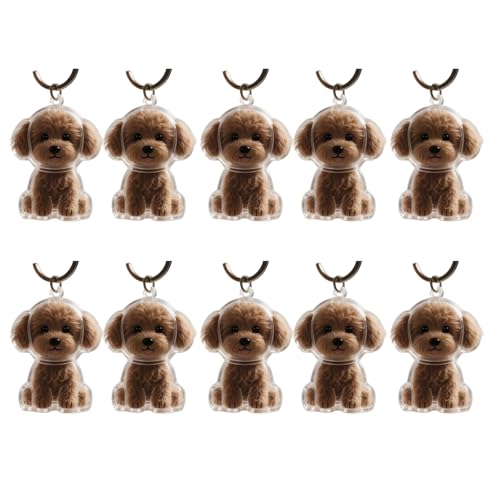 1. 2/3/4/5/10pcs Klarer Pet Memorial Schlüsselbund Mit Lagerfach Für Katzen Hunde Liebhaber Sympathie Anhänger Süßes Hundehaar Andenken Box von FIRSTXIU