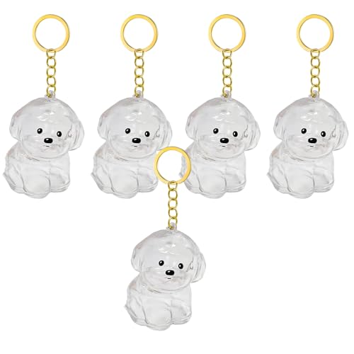 1. 2/3/4/5/10pcs Klarer Pet Memorial Schlüsselbund Mit Lagerfach Für Katzen Hunde Liebhaber Sympathie Anhänger Süßes Hundehaar Andenken Box 1. 2/3/4/5/10pcs Klarer Pet Memorial Schlüsselbund Mit Lagerfach Für Katzen Hunde Liebhaber Sympathie Anhänger Süßes Hundehaar Andenken Box von FIRSTXIU