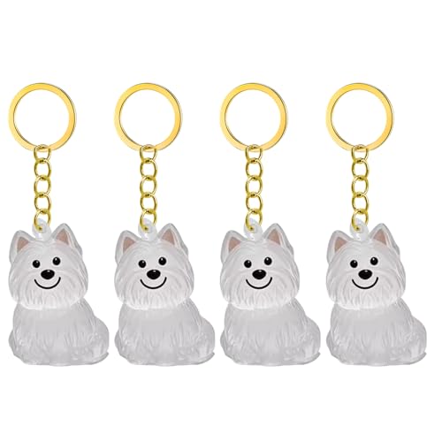1. 2/3/4/5/10pcs Klarer Pet Memorial Schlüsselbund Mit Lagerfach Für Katzen Hunde Liebhaber Sympathie Anhänger Süßes Hundehaar Andenken Box 1. 2/3/4/5/10pcs Klarer Pet Memorial Schlüsselbund Mit Lagerfach Für Katzen Hunde Liebhaber Sympathie Anhänger Süßes Hundehaar Andenken Box von FIRSTXIU