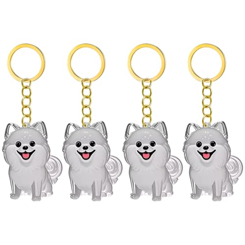 1. 2/3/4/5/10pcs Klarer Pet Memorial Schlüsselbund Mit Lagerfach Für Katzen Hunde Liebhaber Sympathie Anhänger Süßes Hundehaar Andenken Box 1. 2/3/4/5/10pcs Klarer Pet Memorial Schlüsselbund Mit Lagerfach Für Katzen Hunde Liebhaber Sympathie Anhänger Süßes Hundehaar Andenken Box von FIRSTXIU