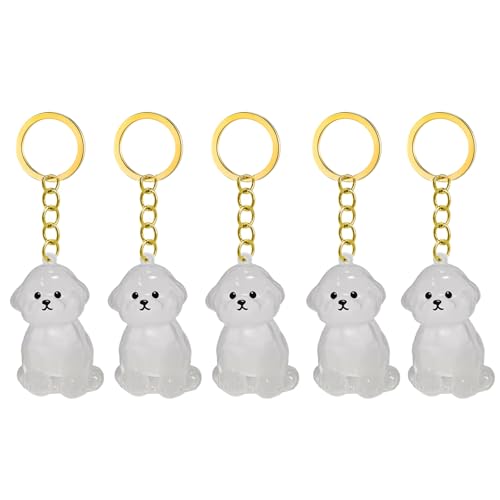 1. 2/3/4/5/10pcs Klarer Pet Memorial Schlüsselbund Mit Lagerfach Für Katzen Hunde Liebhaber Sympathie Anhänger Süßes Hundehaar Andenken Box 1. 2/3/4/5/10pcs Klarer Pet Memorial Schlüsselbund Mit Lagerfach Für Katzen Hunde Liebhaber Sympathie Anhänger Süßes Hundehaar Andenken Box von FIRSTXIU