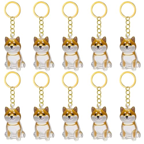 1. 2/3/4/5/10pcs Klarer Pet Memorial Schlüsselbund Mit Lagerfach Für Katzen Hunde Liebhaber Sympathie Anhänger Süßes Hundehaar Andenken Box 1. 2/3/4/5/10pcs Klarer Pet Memorial Schlüsselbund Mit Lagerfach Für Katzen Hunde Liebhaber Sympathie Anhänger Süßes Hundehaar Andenken Box von FIRSTXIU