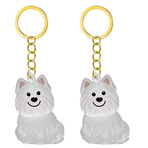 1. 2/3/4/5/10pcs Klarer Pet Memorial Schlüsselbund Mit Lagerfach Für Katzen Hunde Liebhaber Sympathie Anhänger Süßes Hundehaar Andenken Box 1. 2/3/4/5/10pcs Klarer Pet Memorial Schlüsselbund Mit Lagerfach Für Katzen Hunde Liebhaber Sympathie Anhänger Süßes Hundehaar Andenken Box von FIRSTXIU