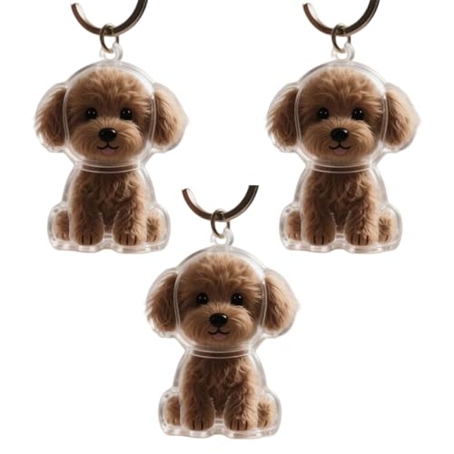 1. 2/3/4/5/10pcs Klarer Pet Memorial Schlüsselbund Mit Lagerfach Für Katzen Hunde Liebhaber Sympathie Anhänger Süßes Hundehaar Andenken Box 1. 2/3/4/5/10pcs Klarer Pet Memorial Schlüsselbund Mit Lagerfach Für Katzen Hunde Liebhaber Sympathie Anhänger Süßes Hundehaar Andenken Box von FIRSTXIU