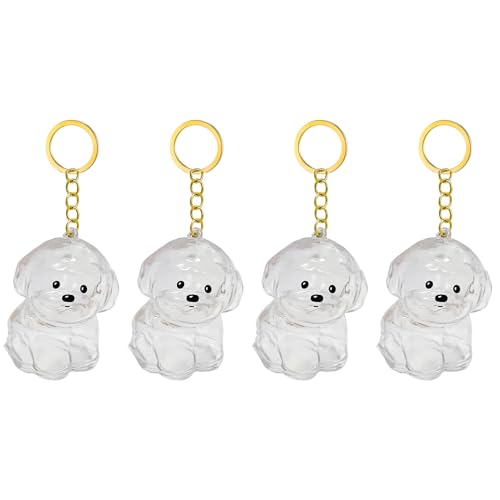 1. 2/3/4/5/10pcs Klarer Pet Memorial Schlüsselbund Mit Lagerfach Für Katzen Hunde Liebhaber Sympathie Anhänger Süßes Hundehaar Andenken Box 1. 2/3/4/5/10pcs Klarer Pet Memorial Schlüsselbund Mit Lagerfach Für Katzen Hunde Liebhaber Sympathie Anhänger Süßes Hundehaar Andenken Box von FIRSTXIU