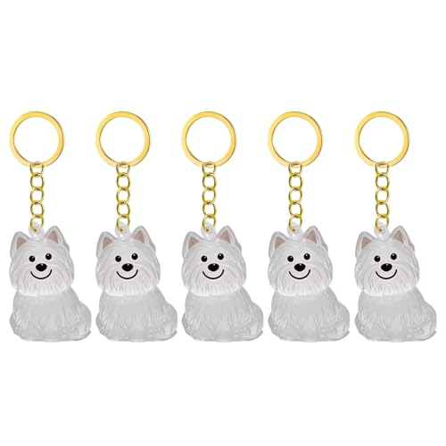 1. 2/3/4/5/10pcs Klarer Pet Memorial Schlüsselbund Mit Lagerfach Für Katzen Hunde Liebhaber Sympathie Anhänger Süßes Hundehaar Andenken Box 1. 2/3/4/5/10pcs Klarer Pet Memorial Schlüsselbund Mit Lagerfach Für Katzen Hunde Liebhaber Sympathie Anhänger Süßes Hundehaar Andenken Box von FIRSTXIU