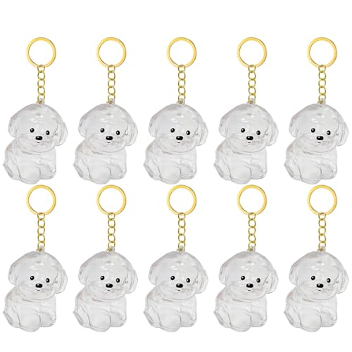 1. 2/3/4/5/10pcs Klarer Pet Memorial Schlüsselbund Mit Lagerfach Für Katzen Hunde Liebhaber Sympathie Anhänger Süßes Hundehaar Andenken Box 1. 2/3/4/5/10pcs Klarer Pet Memorial Schlüsselbund Mit Lagerfach Für Katzen Hunde Liebhaber Sympathie Anhänger Süßes Hundehaar Andenken Box von FIRSTXIU
