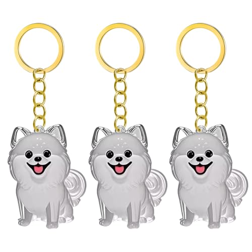 1. 2/3/4/5/10pcs Klarer Pet Memorial Schlüsselbund Mit Lagerfach Für Katzen Hunde Liebhaber Sympathie Anhänger Süßes Hundehaar Andenken Box 1. 2/3/4/5/10pcs Klarer Pet Memorial Schlüsselbund Mit Lagerfach Für Katzen Hunde Liebhaber Sympathie Anhänger Süßes Hundehaar Andenken Box von FIRSTXIU