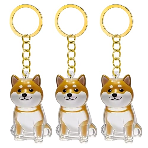 1. 2/3/4/5/10pcs Klarer Pet Memorial Schlüsselbund Mit Lagerfach Für Katzen Hunde Liebhaber Sympathie Anhänger Süßes Hundehaar Andenken Box 1. 2/3/4/5/10pcs Klarer Pet Memorial Schlüsselbund Mit Lagerfach Für Katzen Hunde Liebhaber Sympathie Anhänger Süßes Hundehaar Andenken Box von FIRSTXIU