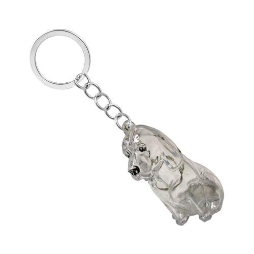 Clear Dog Fells Storage Box Hair Collector Wasserdichtes Ansichten Schlüsselbund Für Haustierbesitzer Um Kostbarem Gedächtnis Klarer Hundehaarkollektor Keyring Zu Erhalten Clear Dog Fells Storage Box Hair Collector Wasserdichtes Ansichten Schlüsselbund Für Haustierbesitzer Um Kostbarem Gedächtnis Klarer Hundehaarkollektor Keyring Zu Erhalten von FIRSTXIU
