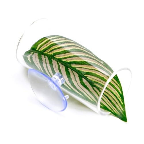 Wasserdichtes Acryl Bettas Fischnest Durabilität Fisch Garnelenunterkunft Ornamente Für Aquarien Enthusiasten Home Aquarien Dekoration Wasserdichtes Acryl Bettas Fischnest Durabilität Fisch Garnelenunterkunft Ornamente Für Aquarien Enthusiasten Home Aquarien Dekoration von FIRSTXIU