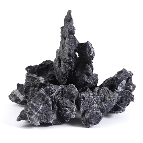 FISCAPE 5 Stück 2-8 Zoll natürliche Seiryu-Steine Schiefersteine für Aquarien, Terrarien, Paludarium, Vivarium, Reptilien- und Amphibiengehege FISCAPE 5 Stück 2-8 Zoll natürliche Seiryu-Steine Schiefersteine für Aquarien, Terrarien, Paludarium, Vivarium, Reptilien- und Amphibiengehege von FISCAPE