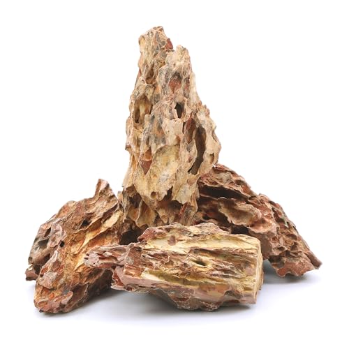 FISCAPE Natürlicher Drachenstein, 15,2 - 20,3 cm, 4 Stück Aquarium-Felsen für Aquascaping, Aquarium-Landschaftsbau, Terrarien, Aquarium, Paludarium, Reptilien und Amphibiengehege FISCAPE Natürlicher Drachenstein, 15,2 - 20,3 cm, 4 Stück Aquarium-Felsen für Aquascaping, Aquarium-Landschaftsbau, Terrarien, Aquarium, Paludarium, Reptilien und Amphibiengehege von FISCAPE