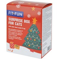 FIT+FUN Fit + Fun Überraschungsbox Spielzeug + Snack Katze 30 g von FIT+FUN
