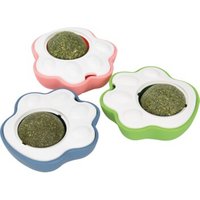 FIT+FUN Katzenminze mit Halterung von FIT+FUN