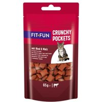 FIT+FUN Knusprig 65g Rind von FIT+FUN