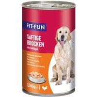 FIT+FUN Nassfutter Hund Audlt, Ragout, Geflügel 6x1,24 kg von FIT+FUN