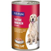 FIT+FUN Nassfutter Hund Audlt, Ragout, Lamm 6x1,24 kg von FIT+FUN