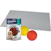 FIT+FUN Set Training - Snack + Ball + Liegedecke FIT+FUN Set Training - Snack + Ball + Liegedecke von FIT+FUN