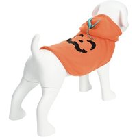 FIT+FUN Sweatshirt Herbstdesign Halloween XS-S von FIT+FUN