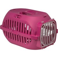 FIT+FUN Transport Box von FIT+FUN