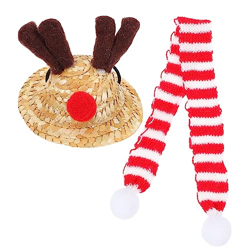 FIXOSHEE Modisches 2-teiliges Eidechsen-weihnachtsmütze-schal-Set Reptilien-kostümzubehör von FIXOSHEE