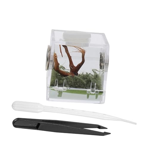 FIXOSHEE 1 Satz Reptilien Zuchtbox aus Hochwertigem Transparentes Terrarium für Spinnen und Kleine Reptilien Praktischer Fütterungsbehälter mit Belüftungslöchern für Gecko Taranteln und FIXOSHEE 1 Satz Reptilien Zuchtbox aus Hochwertigem Transparentes Terrarium für Spinnen und Kleine Reptilien Praktischer Fütterungsbehälter mit Belüftungslöchern für Gecko Taranteln und von FIXOSHEE