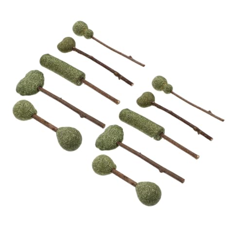 FIXOSHEE 10 Stück Teiliges Katzenminze Lollipop Interaktives Katzenspielzeug mit Kausticks Fördert Bewegung und Verdauung Natürliches Katzenfutter für Kätzchen und Katzen von FIXOSHEE