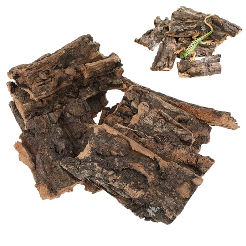 FIXOSHEE 10 Stück Teiliges Reptilien Kletterrinde aus Natürlichem Langlebige Terrarienplattform für Eidechsen Bartagamen Geckos und Kleine Reptilien Realistische Baumrinde Dekoration von FIXOSHEE
