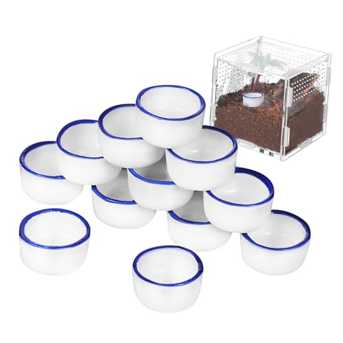 FIXOSHEE 12 Stück Teiliges Mini Keramik wasserschälchen Spinnen Futter Trinkbecken Reptilien Terrarien Zubehör mit Glatten Kanten und Langlebigem Material für Kleine Haustiere von FIXOSHEE