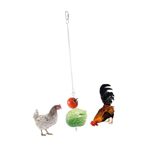 FIXOSHEE 1Stück Vogelspielzeug mit Fruchtgabel Hängendes Futterspielzeug für Papageien Nymphensittiche und Sittiche Fördert Spaß und Bewegung Füttern mit Maiskolben FIXOSHEE 1Stück Vogelspielzeug mit Fruchtgabel Hängendes Futterspielzeug für Papageien Nymphensittiche und Sittiche Fördert Spaß und Bewegung Füttern mit Maiskolben von FIXOSHEE