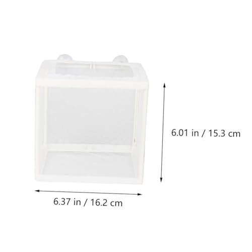 FIXOSHEE 2 STÜCK Fischzuchtbox mit Saugnapf Aquarium Aufzuchtbecken aus Transparentem Langlebigem Fisch Isolationsbehälter zur Schonung Kleiner Fische Einfach zu Montieren Zufällige Farbe von FIXOSHEE