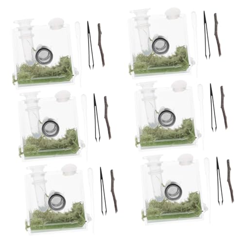 FIXOSHEE 2 Sätze Transparente Reptilien Zuchtbox Kleine Springspinne Futterbox Stabile Aufbewahrung Für Reptilien Haustiere Mit Feuchtigkeitsresistenter Verarbeitung von FIXOSHEE
