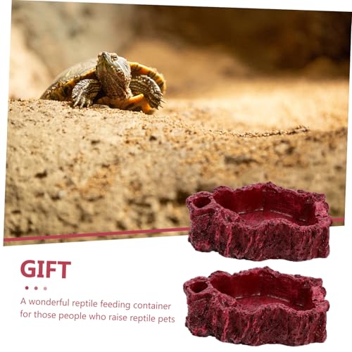 FIXOSHEE 2 Stück Reptilienschale aus Hochwertigem Harz Stabile Futterschale für Schildkröten und Schlangen Natürliche Farbgebung Kippsicher Dekorativ und Sicher für Terrarienbewohner von FIXOSHEE