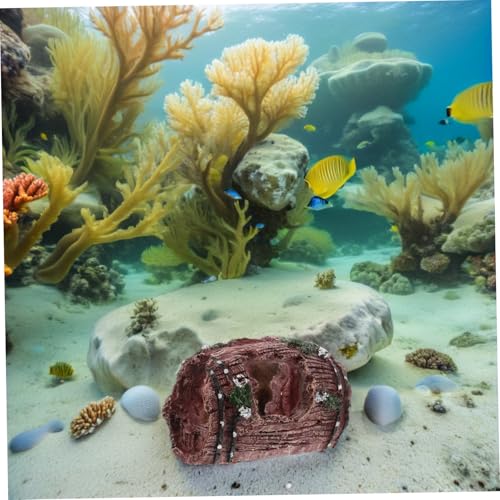 FIXOSHEE 2 Stück Resin Aquarium Dekoration Realistische Höhle Versteck für Fische und Garnelen Sicher Nontoxisch Vielseitig für Süßwasser Aquarien FIXOSHEE 2 Stück Resin Aquarium Dekoration Realistische Höhle Versteck für Fische und Garnelen Sicher Nontoxisch Vielseitig für Süßwasser Aquarien von FIXOSHEE