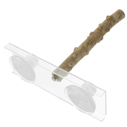 FIXOSHEE 2stücke Parrot Stand Tragbarer Krallenpflege-ständer Für Vögel Für Wellensittiche Kanarienvögel Kleine Papageien Mit Saugnapf Einfach Zu Reinigen Für Zuhause Unterwegs von FIXOSHEE