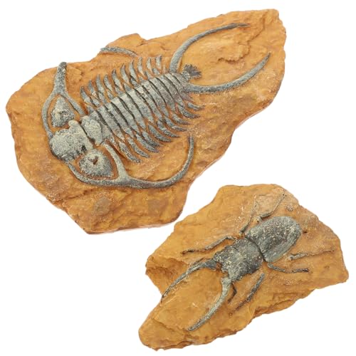 FIXOSHEE 2Stücke Reptilien Terrarium Dekorationsset Kreative Fossilien Box Ornamente aus Hochwertigem für Schlangen Eidechsen und Gecko Lebendige Simulationen FIXOSHEE 2Stücke Reptilien Terrarium Dekorationsset Kreative Fossilien Box Ornamente aus Hochwertigem für Schlangen Eidechsen und Gecko Lebendige Simulationen von FIXOSHEE