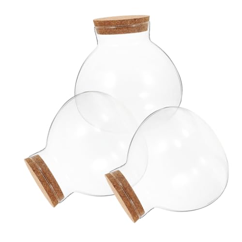 FIXOSHEE 3 Stück Glasflaschen mit Korkverschluss Runde Versiegelte Mikrolandschaft Flasche Langlebiges Glas Terrarium für Dekoration und Pflanzenpflege FIXOSHEE 3 Stück Glasflaschen mit Korkverschluss Runde Versiegelte Mikrolandschaft Flasche Langlebiges Glas Terrarium für Dekoration und Pflanzenpflege von FIXOSHEE