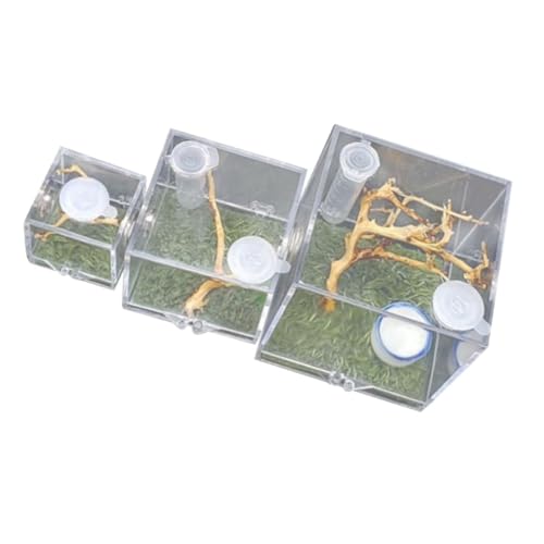 FIXOSHEE 3Stücke Transparente Zuchtbehälter für Springspinnen und Insekten zu Reinigen Optimal für Kleine Reptilien und Terrarienhaltung mit Praktischem Beobachtungsdesign FIXOSHEE 3Stücke Transparente Zuchtbehälter für Springspinnen und Insekten zu Reinigen Optimal für Kleine Reptilien und Terrarienhaltung mit Praktischem Beobachtungsdesign von FIXOSHEE
