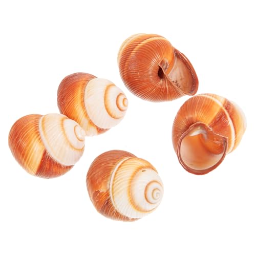 FIXOSHEE 5 Stück Teiliges Natürliches Escargot Glatte Oberfläche rutschfeste Rillen Hitzebeständig zum Backen und Servieren von Schnecken in Küche Restaurant und BBQ FIXOSHEE 5 Stück Teiliges Natürliches Escargot Glatte Oberfläche rutschfeste Rillen Hitzebeständig zum Backen und Servieren von Schnecken in Küche Restaurant und BBQ von FIXOSHEE