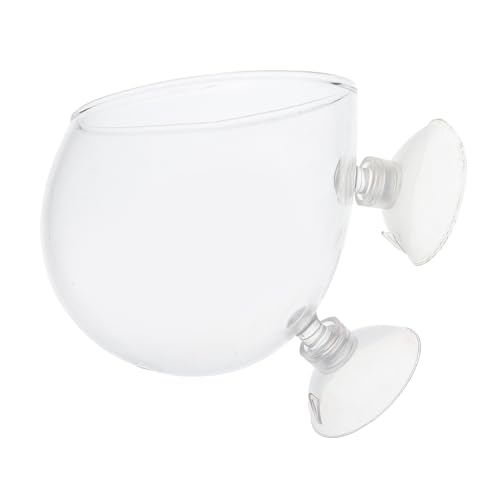 FIXOSHEE Anti Escape Reptilien Wassernapf aus Glas Wandmontierter Futter Wasserspender für Schildkröten Geckos Schlangen Echsen und Spinnen Praktischer Glatter Futterbehälter für von FIXOSHEE