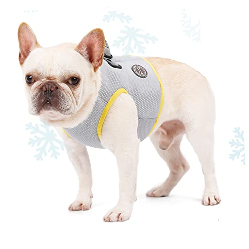 FIXOSHEE Atmungsaktive Hundekühlweste aus Kühlendem Material Leicht Anzuziehen mit Versteckter Schnellverschluss Schnalle für und Outdoor Aktivitäten im Sommer FIXOSHEE Atmungsaktive Hundekühlweste aus Kühlendem Material Leicht Anzuziehen mit Versteckter Schnellverschluss Schnalle für und Outdoor Aktivitäten im Sommer von FIXOSHEE