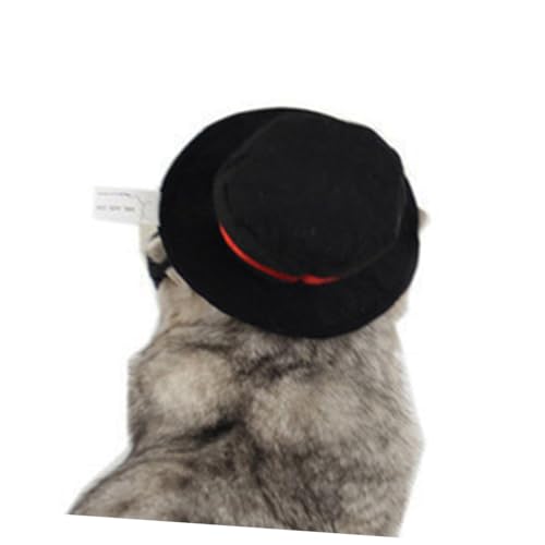 FIXOSHEE Haustier Hut für Katzen Schwarzes Cosplay Zubehör für Weihnachten und Halloween Verstellbare Anzuziehen aus Weichem Terylen FIXOSHEE Haustier Hut für Katzen Schwarzes Cosplay Zubehör für Weihnachten und Halloween Verstellbare Anzuziehen aus Weichem Terylen von FIXOSHEE