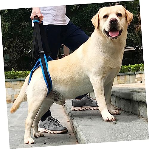 FIXOSHEE Hundestützgeschirr Large Atmungsaktives Air Mesh Pet Support Belt mit Baumwoll PU Griff Rutschfestes Stützgeschirr für Ältere Hunde mit Beinlähmung für Treppensteigen und von FIXOSHEE