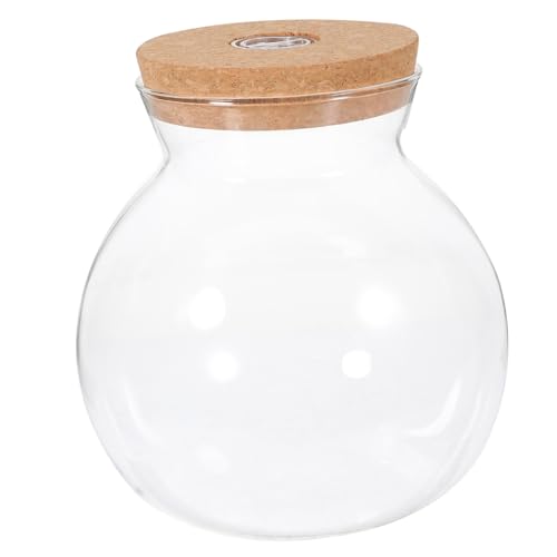 FIXOSHEE LED Glasflasche mit Mikro Landschaft und Weißem LED Licht Dekorative Ökologische Flasche mit Klarem Glas Aquarium für Wohnzimmer und Schlafzimmer Einfache Reinigung Stilvolle FIXOSHEE LED Glasflasche mit Mikro Landschaft und Weißem LED Licht Dekorative Ökologische Flasche mit Klarem Glas Aquarium für Wohnzimmer und Schlafzimmer Einfache Reinigung Stilvolle von FIXOSHEE